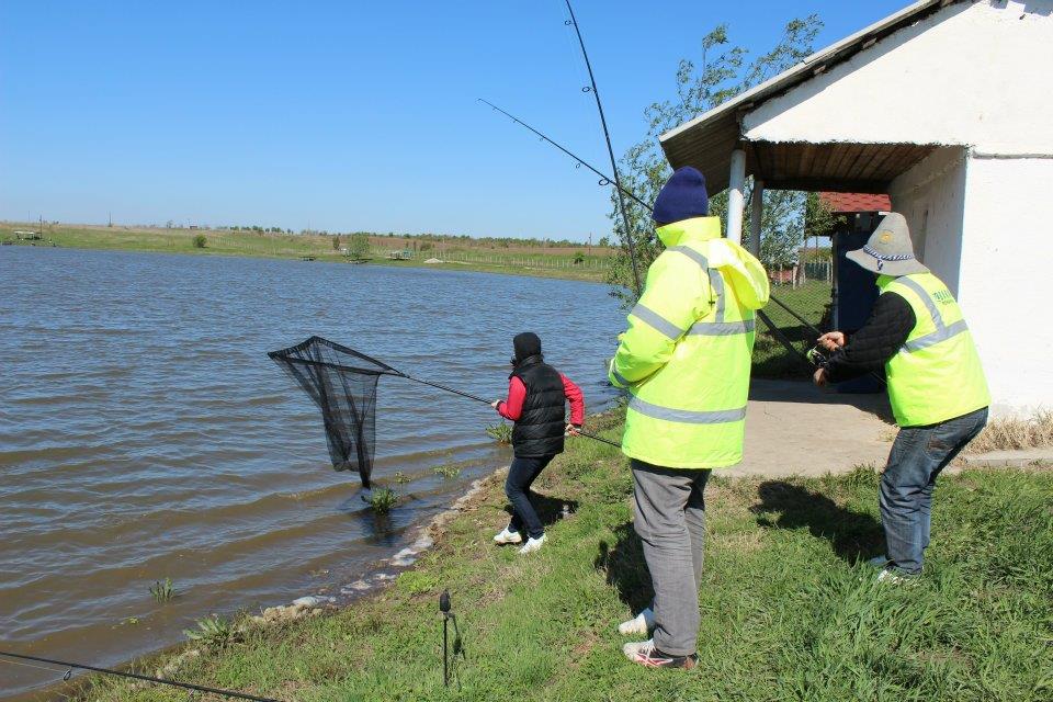 La Greaca Cercani in familie - Dublu drill
